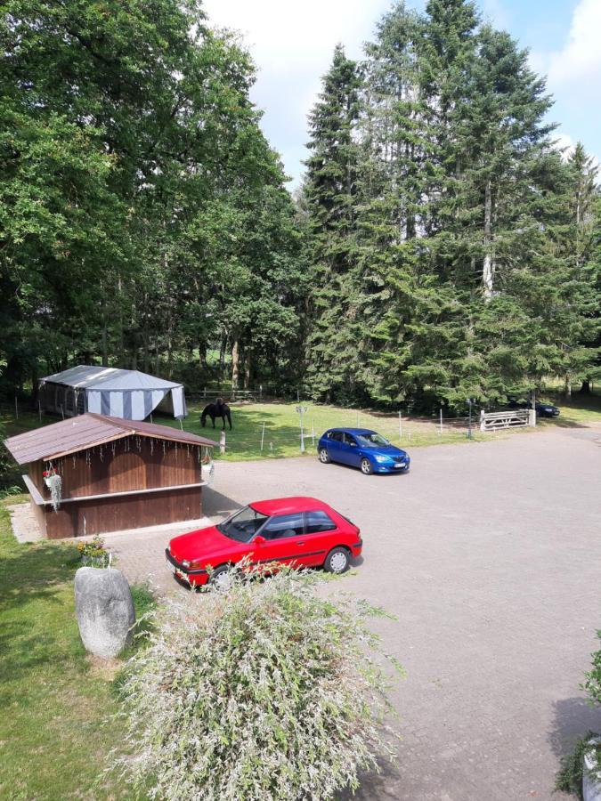 Pension Im Rehwinkel Зольтау Экстерьер фото